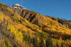 USA-Colorado-Uncompahgre National Forest San Juan Mountains and aspen forest in autumn Art Print